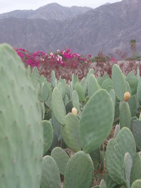 P1010155.JPG