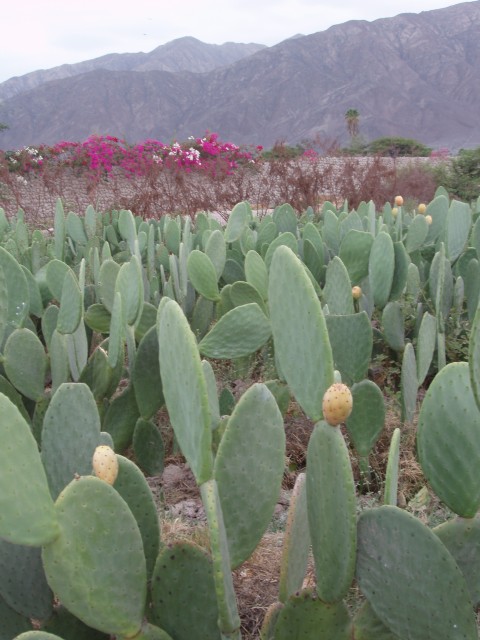P1010156.JPG