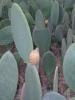 P1010157_thumb.JPG