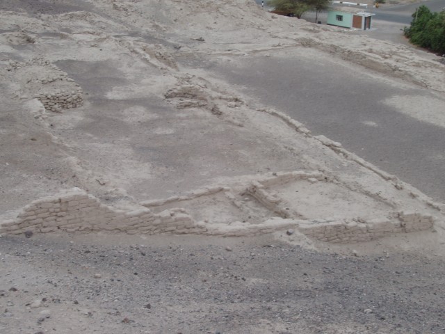 P1010176.JPG