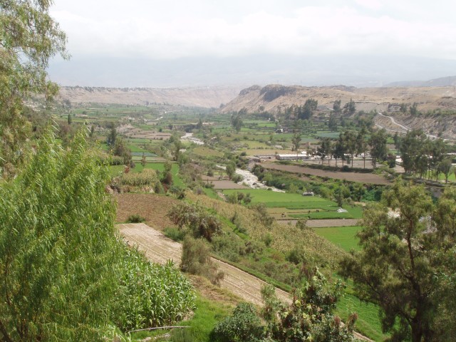 P1010179.JPG
