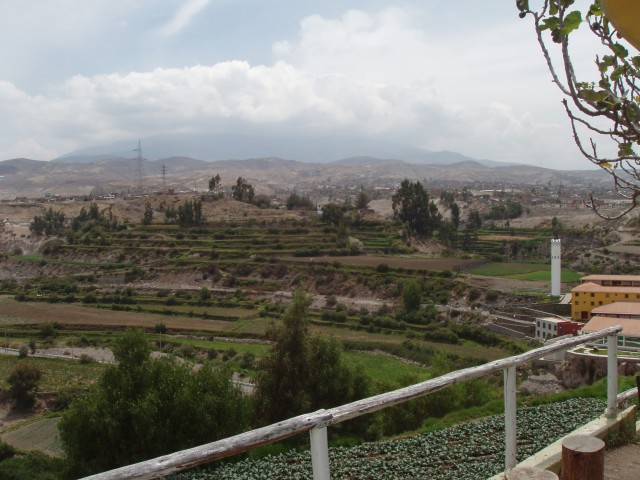P1010181.JPG