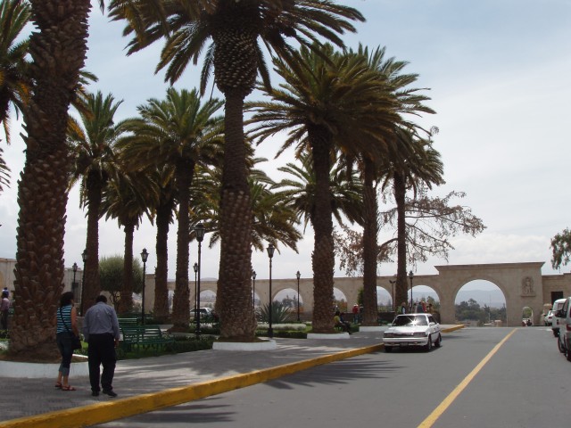 P1010183.JPG
