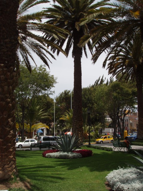 P1010184.JPG