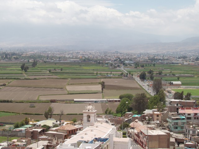 P1010203.JPG