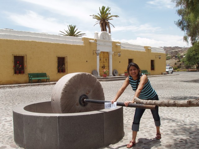 P1010213.JPG