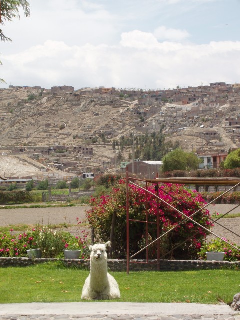 P1010216.JPG