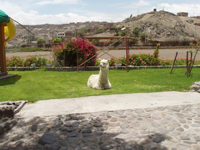 P1010217.JPG