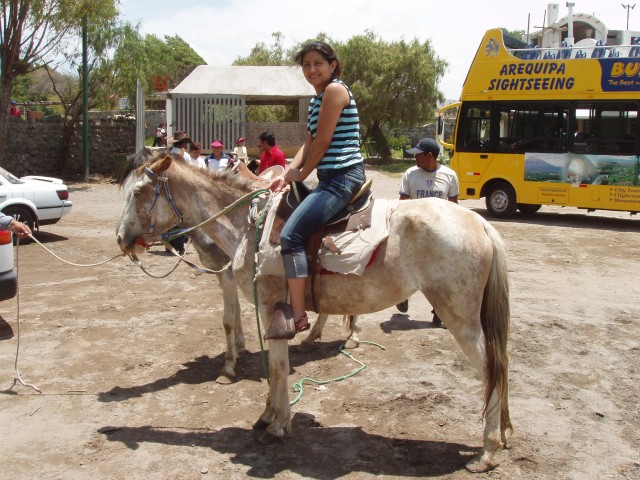 P1010219.JPG