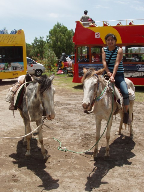 P1010220.JPG