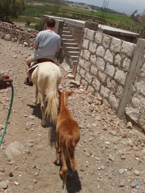 P1010224.JPG