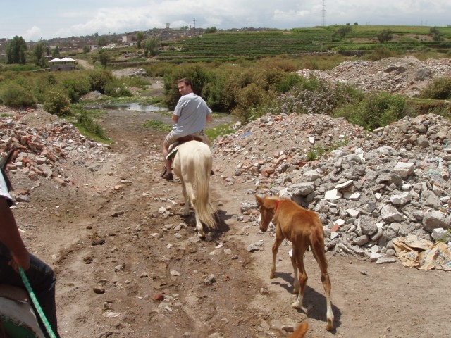 P1010226.JPG