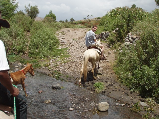 P1010229.JPG
