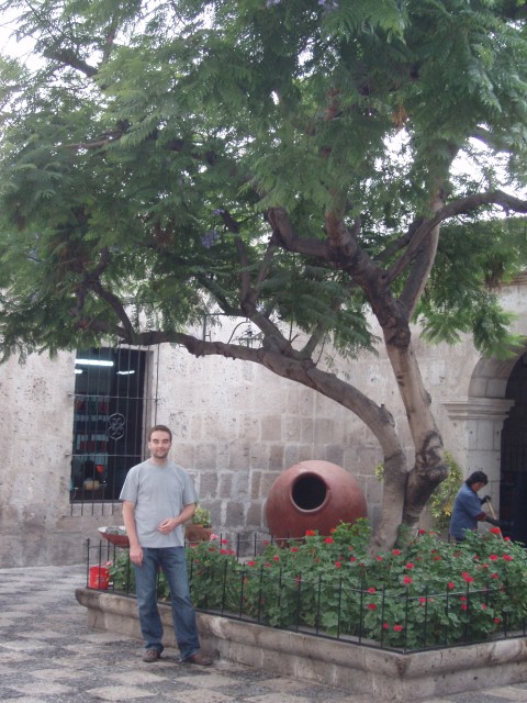 P1010258.JPG