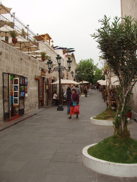 P1010262.JPG
