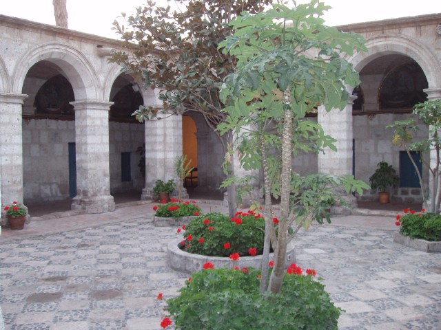 P1010267.JPG