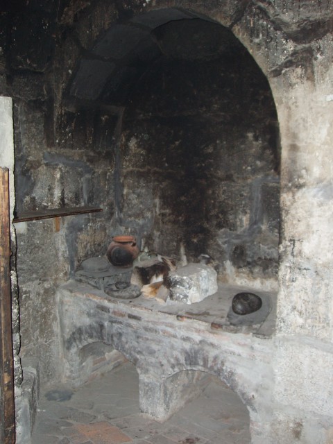 P1010271.JPG