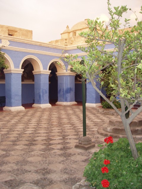 P1010272.JPG