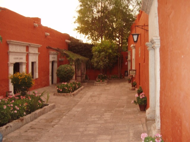 P1010273.JPG