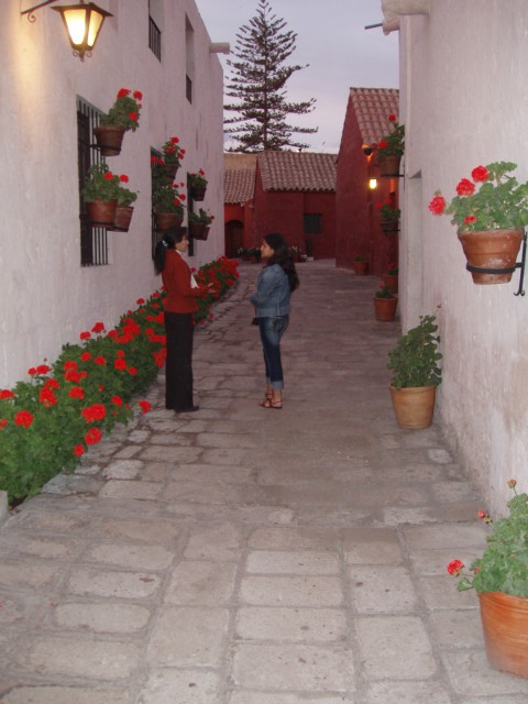 P1010274.JPG