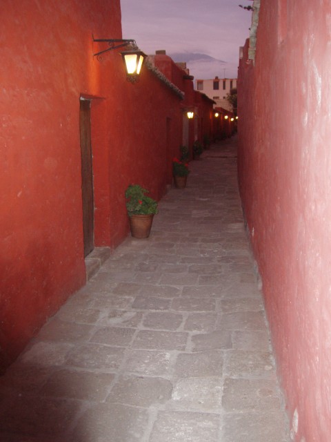 P1010277.JPG