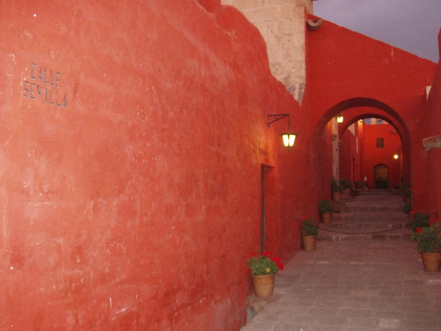 P1010278.JPG