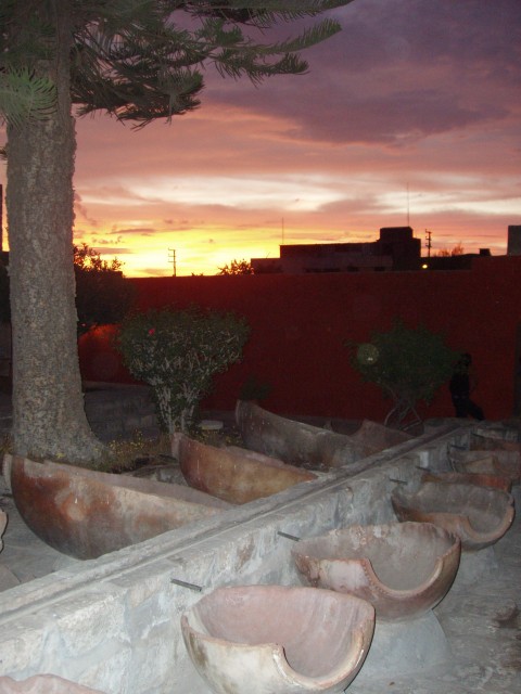 P1010284.JPG