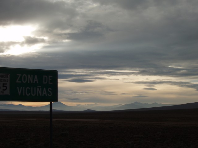 P1010306.JPG