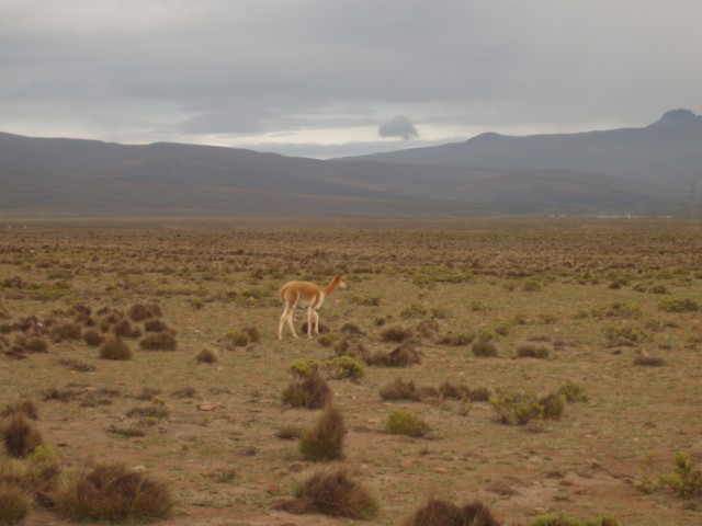 P1010310.JPG