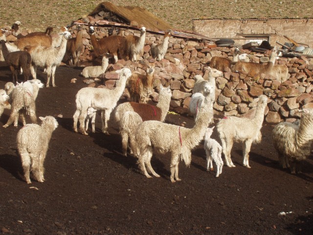 P1010316.JPG