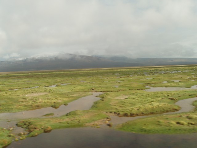 P1010317.JPG