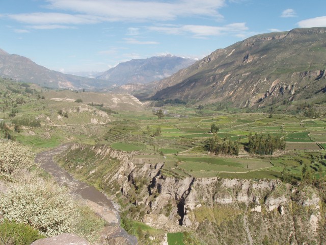 P1010328.JPG