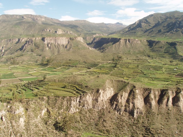 P1010329.JPG