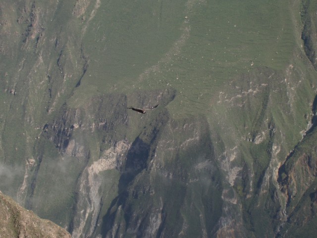 P1010331.JPG