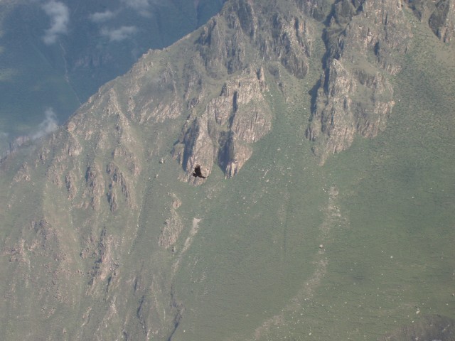 P1010335.JPG