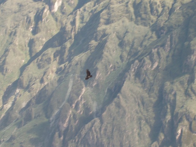 P1010336.JPG