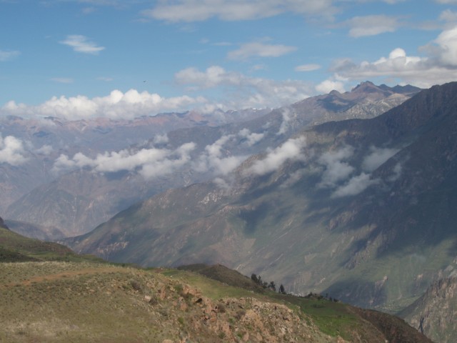 P1010341.JPG