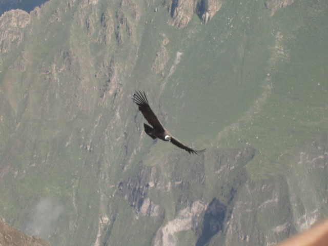 P1010343.JPG