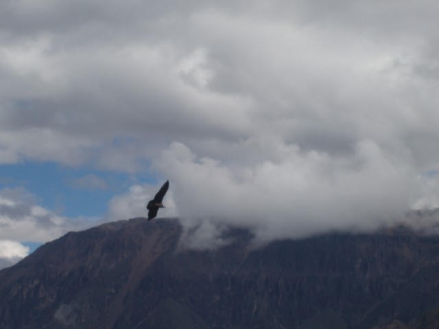 P1010344.JPG
