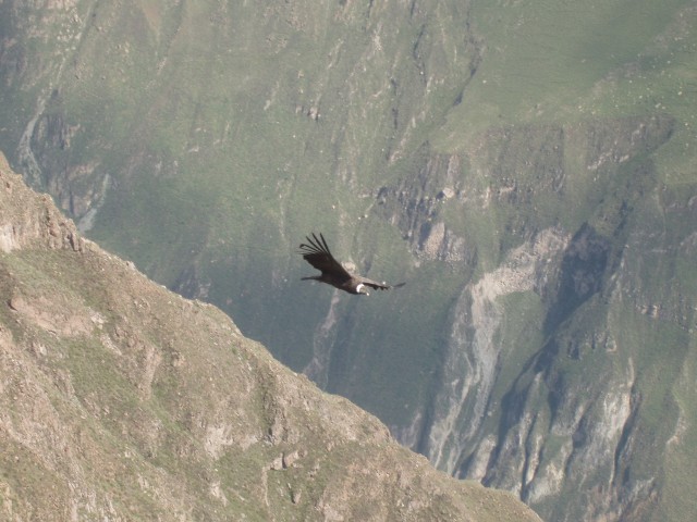 P1010345.JPG