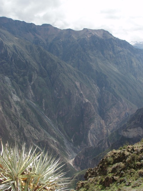 P1010348.JPG