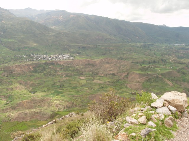 P1010357.JPG