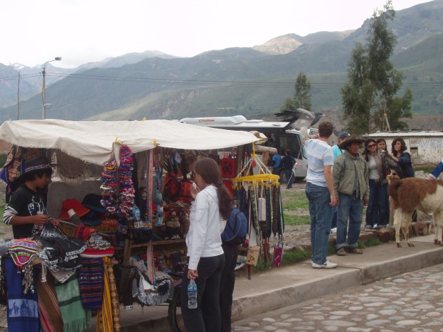 P1010373.JPG