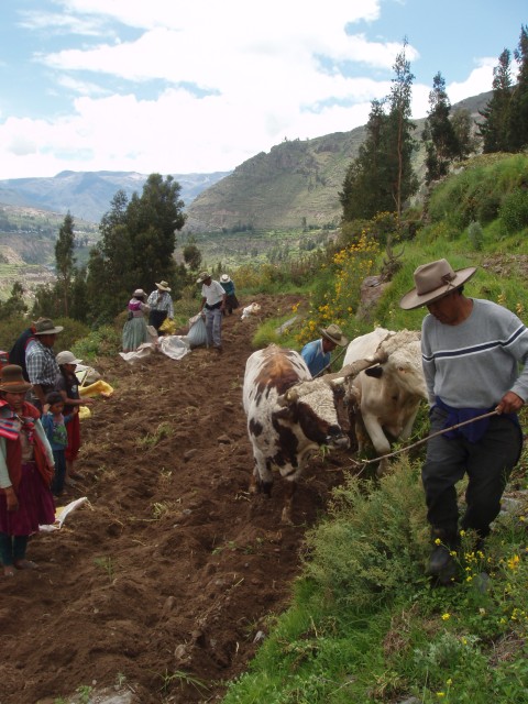 P1010375.JPG