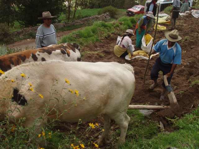 P1010376.JPG