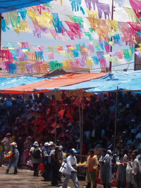 P1040071.JPG