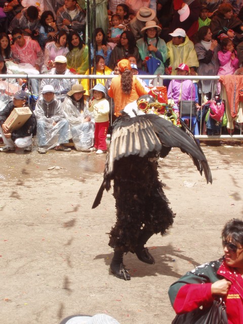 P1040169.JPG