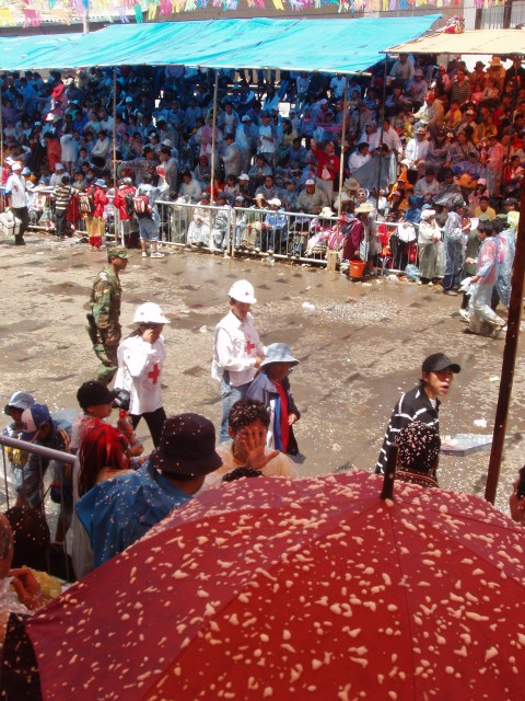 P1040177.JPG