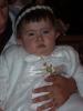 P1010056_thumb.JPG