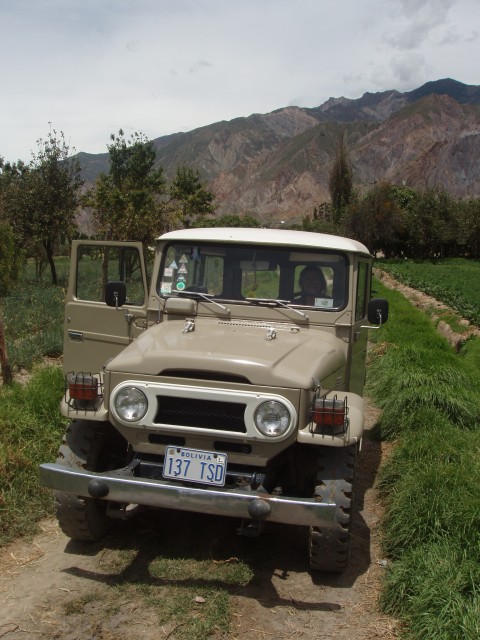 P1060008.JPG